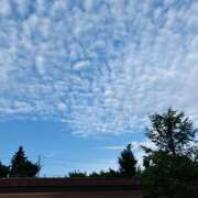 ヒメ日記 2025/10/05 13:18 投稿 さくら 大塚 虹いろ回春