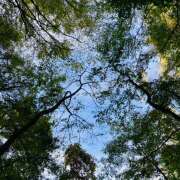 ヒメ日記 2025/10/15 23:30 投稿 さくら 大塚 虹いろ回春