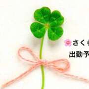 ヒメ日記 2025/11/03 00:56 投稿 さくら 大塚 虹いろ回春