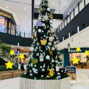 ヒメ日記 2025/11/27 13:54 投稿 さくら 大塚 虹いろ回春