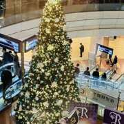 ヒメ日記 2025/11/28 21:24 投稿 さくら 大塚 虹いろ回春