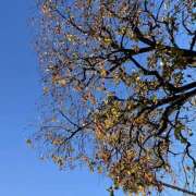 ヒメ日記 2025/11/30 13:38 投稿 さくら 大塚 虹いろ回春