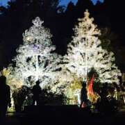 ヒメ日記 2025/12/01 23:11 投稿 さくら 大塚 虹いろ回春