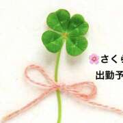 ヒメ日記 2025/12/03 16:52 投稿 さくら 大塚 虹いろ回春
