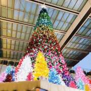 ヒメ日記 2025/12/09 11:48 投稿 さくら 大塚 虹いろ回春