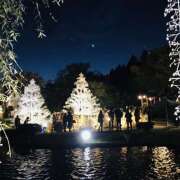 ヒメ日記 2025/12/12 01:50 投稿 さくら 大塚 虹いろ回春