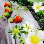 ヒメ日記 2026/01/09 23:04 投稿 さくら 大塚 虹いろ回春