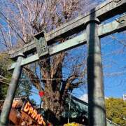 ヒメ日記 2026/02/02 22:22 投稿 さくら 大塚 虹いろ回春