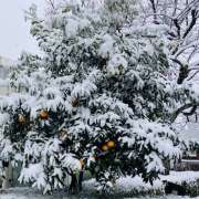 ヒメ日記 2026/02/11 11:38 投稿 さくら 大塚 虹いろ回春