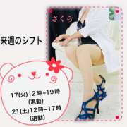 ヒメ日記 2026/02/12 23:06 投稿 さくら 大塚 虹いろ回春