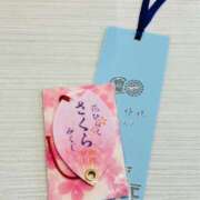 ヒメ日記 2026/02/14 12:32 投稿 さくら 大塚 虹いろ回春