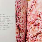 ヒメ日記 2026/03/02 22:13 投稿 さくら 大塚 虹いろ回春