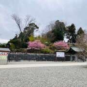 ヒメ日記 2026/03/23 11:44 投稿 さくら 大塚 虹いろ回春