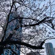 ヒメ日記 2026/03/29 22:39 投稿 さくら 大塚 虹いろ回春