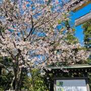 ヒメ日記 2026/04/03 21:09 投稿 さくら 大塚 虹いろ回春