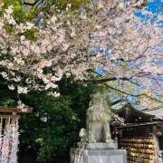 ヒメ日記 2026/04/05 22:41 投稿 さくら 大塚 虹いろ回春