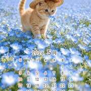 さくら GW中の予定明日2(土)は前日予約にて 大塚 虹いろ回春