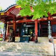ヒメ日記 2026/05/30 20:51 投稿 さくら 大塚 虹いろ回春