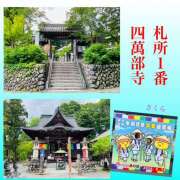 ヒメ日記 2026/06/22 09:56 投稿 さくら 大塚 虹いろ回春