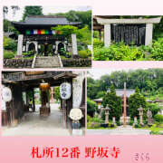 ヒメ日記 2026/07/23 15:07 投稿 さくら 大塚 虹いろ回春