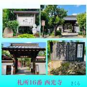ヒメ日記 2026/08/02 17:02 投稿 さくら 大塚 虹いろ回春