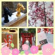 ヒメ日記 2025/03/30 08:10 投稿 まこ モアグループ川越人妻花壇