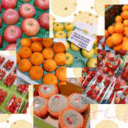 ヒメ日記 2025/05/17 08:20 投稿 まこ モアグループ川越人妻花壇