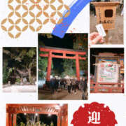 ヒメ日記 2026/01/01 11:04 投稿 まこ モアグループ川越人妻花壇