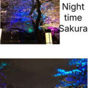 ヒメ日記 2026/04/12 07:40 投稿 まこ モアグループ川越人妻花壇