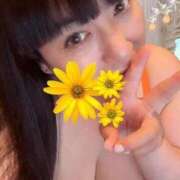 ヒメ日記 2025/07/08 17:09 投稿 ましろ 逢って30秒で即尺