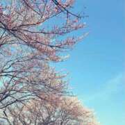 ヒメ日記 2026/03/21 11:10 投稿 ましろ 逢って30秒で即尺