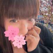 ヒメ日記 2026/04/03 16:22 投稿 ましろ 逢って30秒で即尺