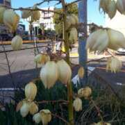 ヒメ日記 2025/01/03 14:25 投稿 あつこ ギン妻パラダイス 堺東店