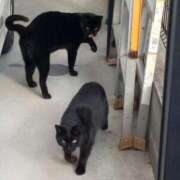 ヒメ日記 2025/01/05 10:54 投稿 あつこ ギン妻パラダイス 堺東店