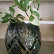 ヒメ日記 2025/02/17 14:06 投稿 あつこ ギン妻パラダイス 堺東店