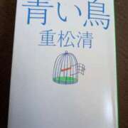 ヒメ日記 2025/04/27 12:46 投稿 あつこ ギン妻パラダイス 堺東店