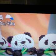 ヒメ日記 2025/04/28 14:31 投稿 あつこ ギン妻パラダイス 堺東店