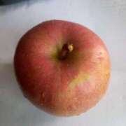 ヒメ日記 2025/04/29 12:04 投稿 あつこ ギン妻パラダイス 堺東店