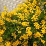 ヒメ日記 2025/05/01 12:52 投稿 あつこ ギン妻パラダイス 堺東店