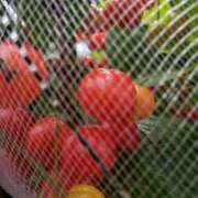 ヒメ日記 2025/05/04 12:30 投稿 あつこ ギン妻パラダイス 堺東店