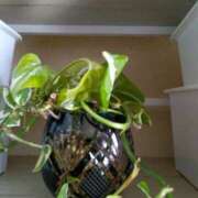 ヒメ日記 2025/05/05 11:57 投稿 あつこ ギン妻パラダイス 堺東店