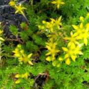 ヒメ日記 2025/05/14 14:01 投稿 あつこ ギン妻パラダイス 堺東店