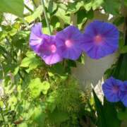 ヒメ日記 2025/06/13 14:47 投稿 あつこ ギン妻パラダイス 堺東店