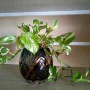 ヒメ日記 2025/08/10 17:11 投稿 あつこ ギン妻パラダイス 堺東店