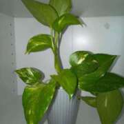 ヒメ日記 2025/08/13 20:54 投稿 あつこ ギン妻パラダイス 堺東店