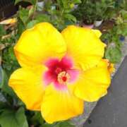 ヒメ日記 2025/10/16 12:33 投稿 あつこ ギン妻パラダイス 堺東店