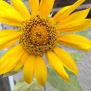 ヒメ日記 2025/10/29 13:45 投稿 あつこ ギン妻パラダイス 堺東店