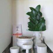 ヒメ日記 2026/01/01 11:12 投稿 あつこ ギン妻パラダイス 堺東店