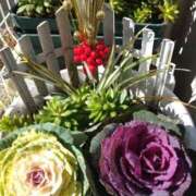 ヒメ日記 2026/01/03 12:55 投稿 あつこ ギン妻パラダイス 堺東店