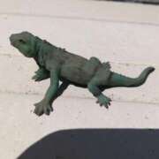 ヒメ日記 2026/04/08 16:09 投稿 あつこ ギン妻パラダイス 堺東店